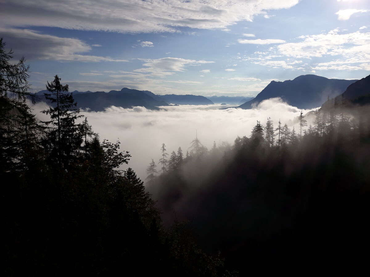 Holiday apartment Armin at the Primusbergerhof - Outdoor photo 5