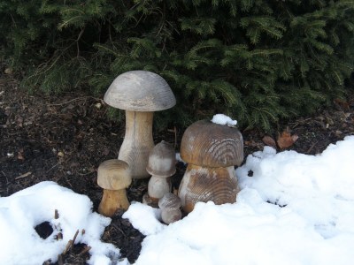 Holiday apartment Armin at the Primusbergerhof - Environment photo 23