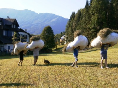 Holiday apartment Armin at the Primusbergerhof - Environment photo 27