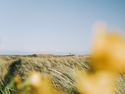 Holiday apartment Seinpost 26 - Environment photo 29