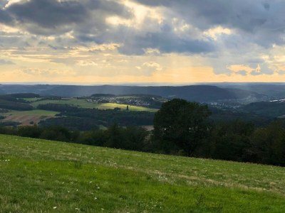Apartment Apartment in Pellingen near Trier - Environment photo 31