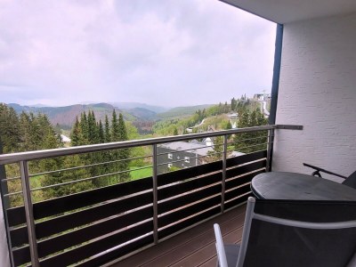 Apartment Apartment in Winterberg near Kappe Mountain in High Sauerland - Apartment
