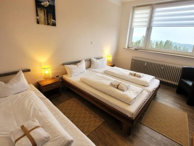 Apartment Apartment in Winterberg near Kappe Mountain - Features photo 9