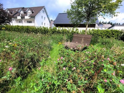 Chalet Chalet in Winterberg near Kappe Adventure - Environment photo 30