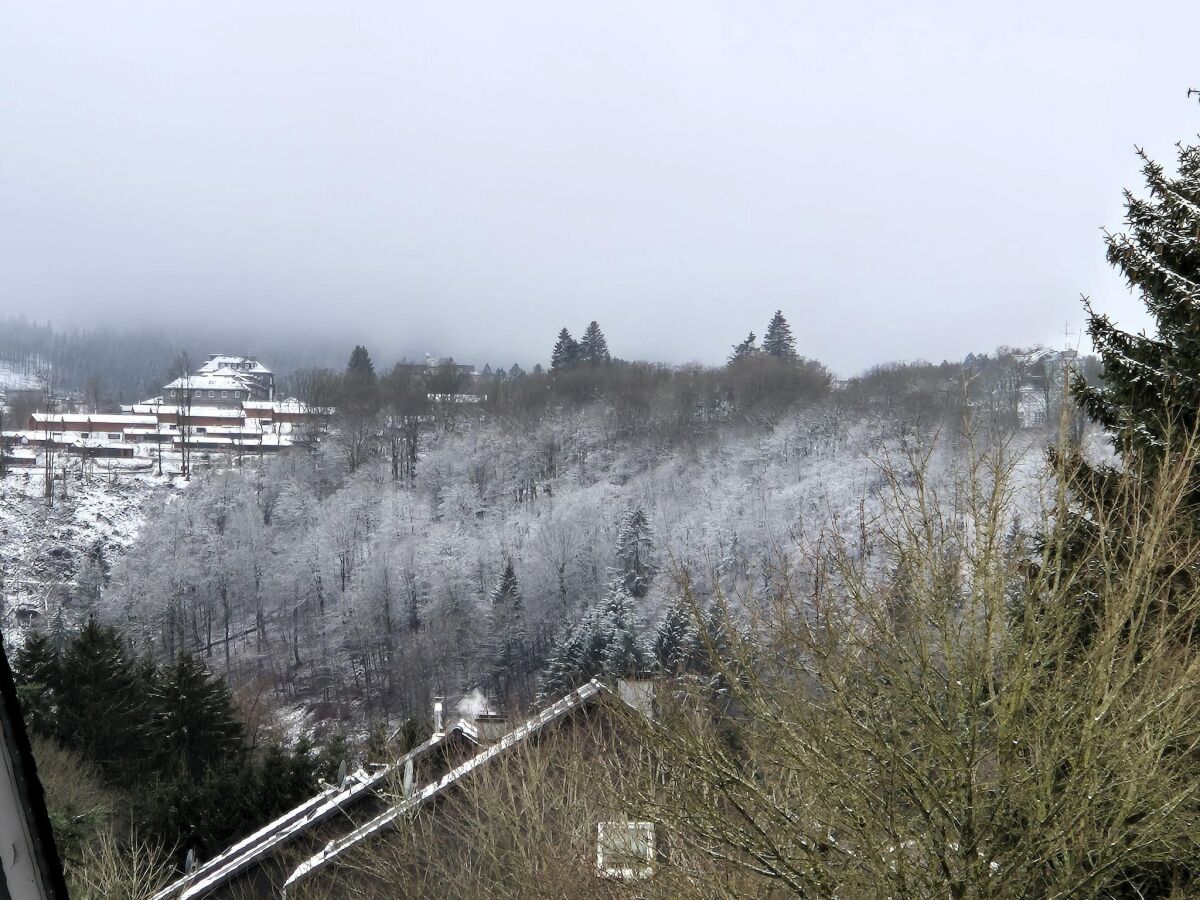 Apartment Apartment in Winterberg with Sauna & Ski Access - Outdoor photo 4