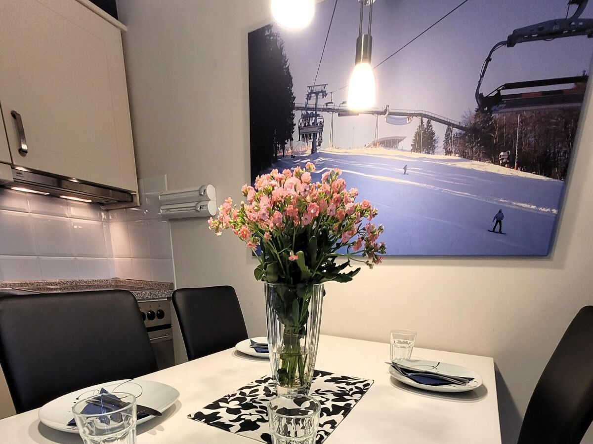 Apartment Wohnung in Winterberg nahe Skiliften