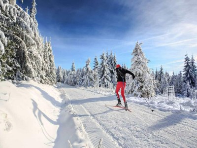 Apartment Wohnung in Winterberg nahe Skipisten - Environment photo 20