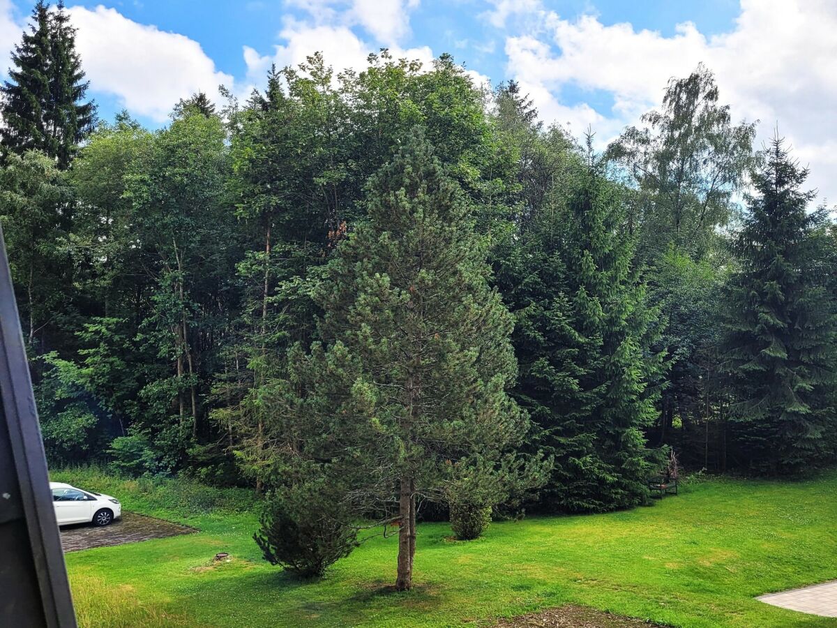 Apartment Apartment in Winterberg near Golf & Ski Lift - Outdoor photo 4