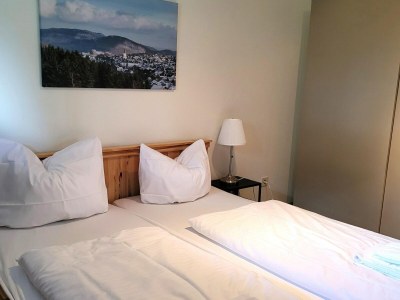 Apartment Apartment in Winterberg near Golf & Ski Lift - Features photo 22