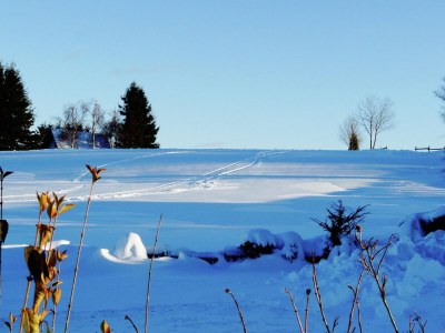 Apartment Apartment in Winterberg near Golf & Ski Lift - Environment photo 39