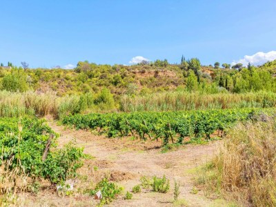 Holiday house Villa in St Denis mit Pool und Blick auf die Pyrenäen - Environment photo 24