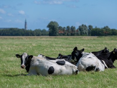 Holiday house Serooskerke - ZE1528 - Environment photo 18