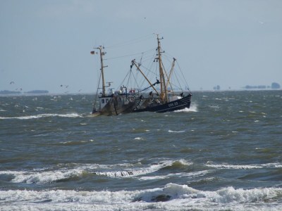 Holiday apartment BorkumSommer - Environment photo 21