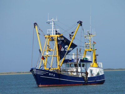 Holiday apartment BorkumSommer - Environment photo 28