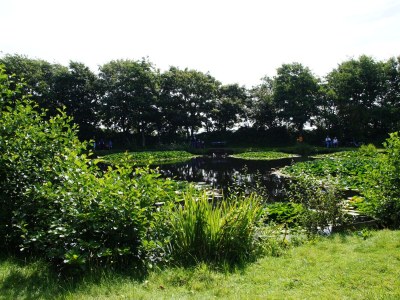 Holiday apartment BorkumSommer - Environment photo 30