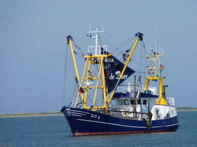 Holiday apartment BorkumSommer - Environment photo 38