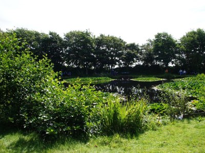 Holiday apartment BorkumSommer - Environment photo 39