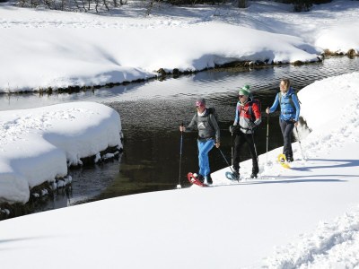 Chalet Elegant chalet near ski-slopes - Environment photo 30