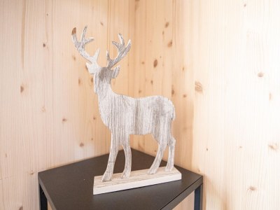 Chalet Elegant chalet near ski-slopes - Outdoor photo 32