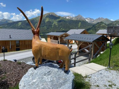 Chalet Ferienhaus mit Terrasse in der Steiermark - Outdoor photo 4