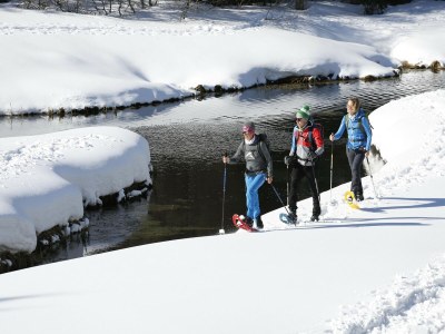 Chalet Premium Ferienhaus mit Sauna und Whirlpool - Environment photo 34