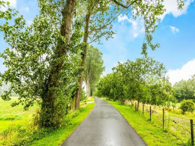 Holiday house Breskens Haven: Relax, Explore & Dine - Environment photo 26