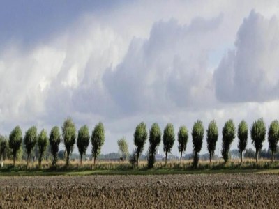 Holiday house Breskens Haven: Relax, Explore & Dine - Environment photo 27