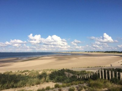 Holiday house Breskens Haven: Relax, Explore & Dine - Environment photo 29