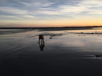 Holiday house Breskens Haven: Relax, Explore & Dine - Environment photo 30