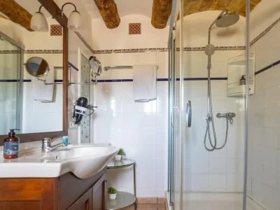 Holiday house Villa in St Martí mit Weinbergen & Garten - Features photo 30