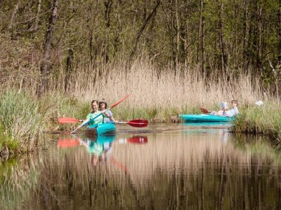 Holiday park Luxuriöser Gruppenurlaub in der Natur - Environment photo 29