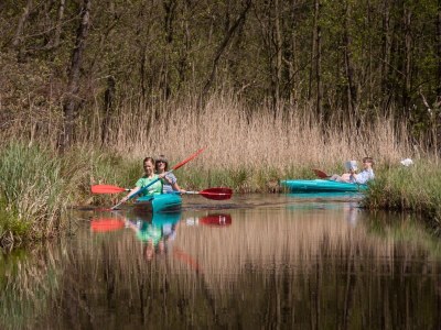 Holiday park Luxuriöser Gruppenurlaub in der Natur - Environment photo 34