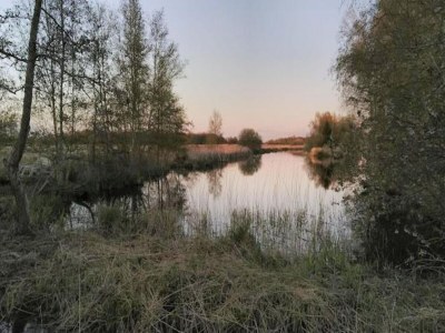 Holiday park Luxuriöser Gruppenurlaub in der Natur - Environment photo 35