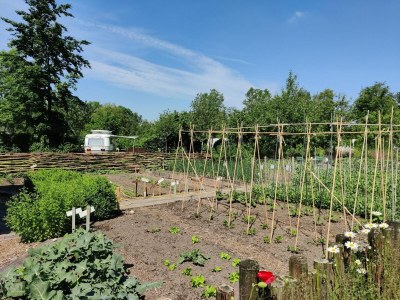 Holiday park Group accommodation for 36 guests - Outdoor photo 8