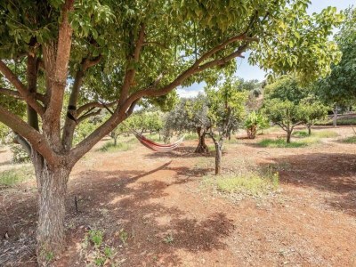 Holiday house Landhaus Silves mit privatem Pool in der Natur - Outdoor photo 11