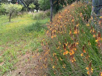 Holiday house Landhaus Silves mit privatem Pool in der Natur - Environment photo 38