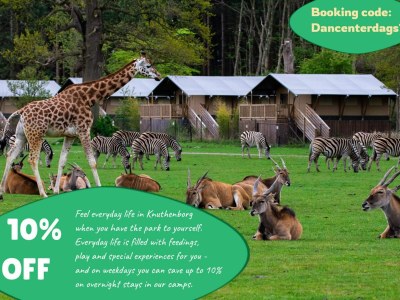 Holiday park 4 person holiday home on a holiday park in Faaborg - Outdoor photo 34