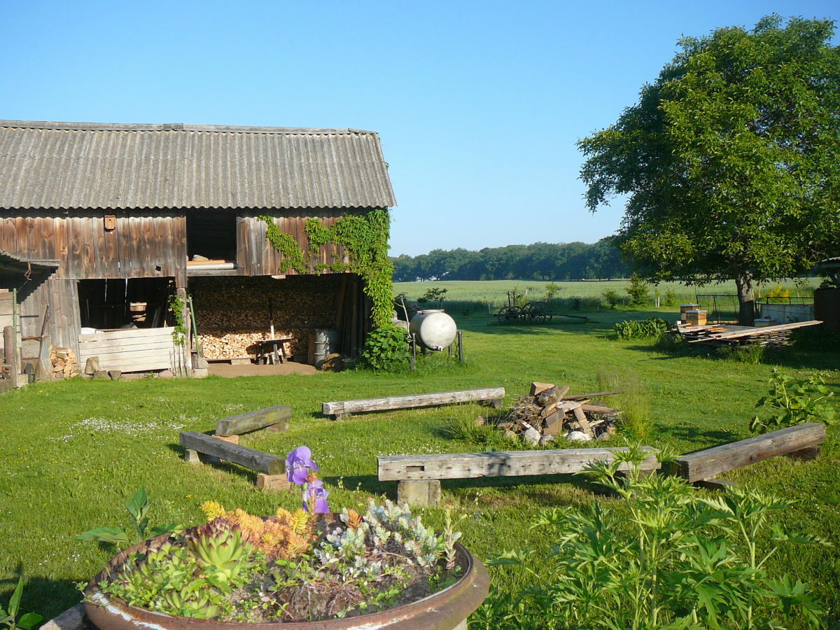 Holiday apartment Meierei - Outdoor photo 5