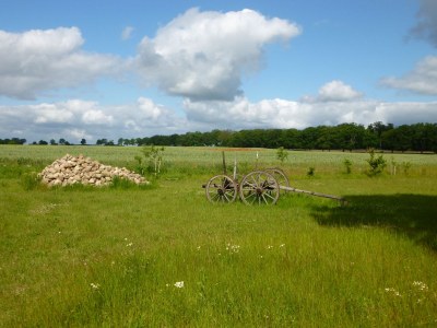 Holiday apartment Meierei in Torgelow am See - Holiday apartment