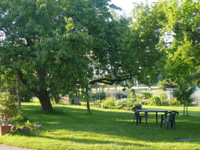 Holiday apartment Meierei - Outdoor photo 4