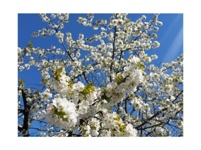 Holiday apartment Meierei - Outdoor photo 6