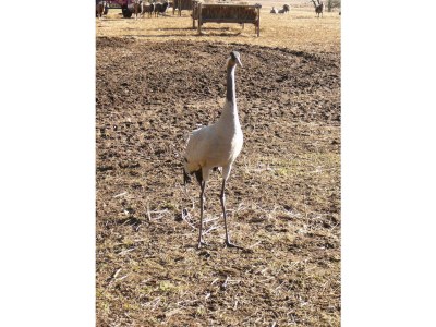 Holiday apartment Meierei - Environment photo 16