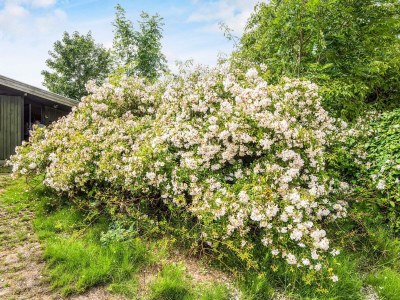Holiday house 6 Personen Ferienhaus in Juelsminde - Outdoor photo 6