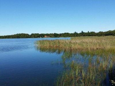 Holiday house 4 Personen Ferienhaus in Ansager - Outdoor photo 30