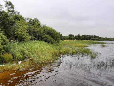Holiday house 4 Personen Ferienhaus in Ansager - Outdoor photo 34