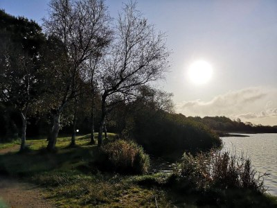 Holiday house 4 Personen Ferienhaus in Ansager - Outdoor photo 39