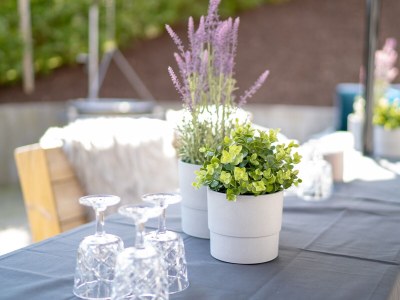 Holiday house Kleine Villa - Outdoor photo 6