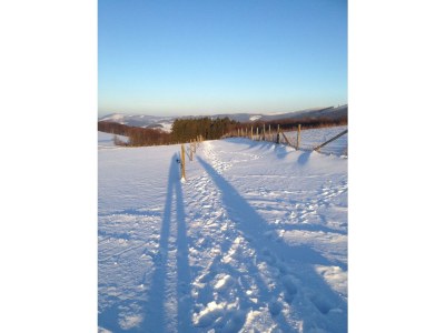 Holiday house Kleine Villa - Environment photo 26