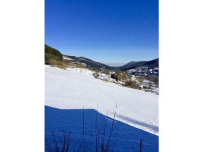 Holiday house Kleine Villa - Environment photo 27