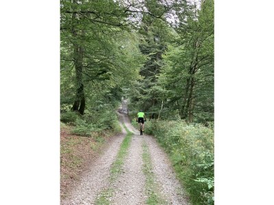 Holiday house Kleine Villa - Environment photo 32